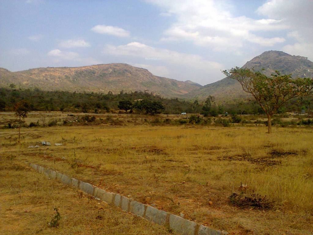 Images for Main Other of LG Tranquil Woods