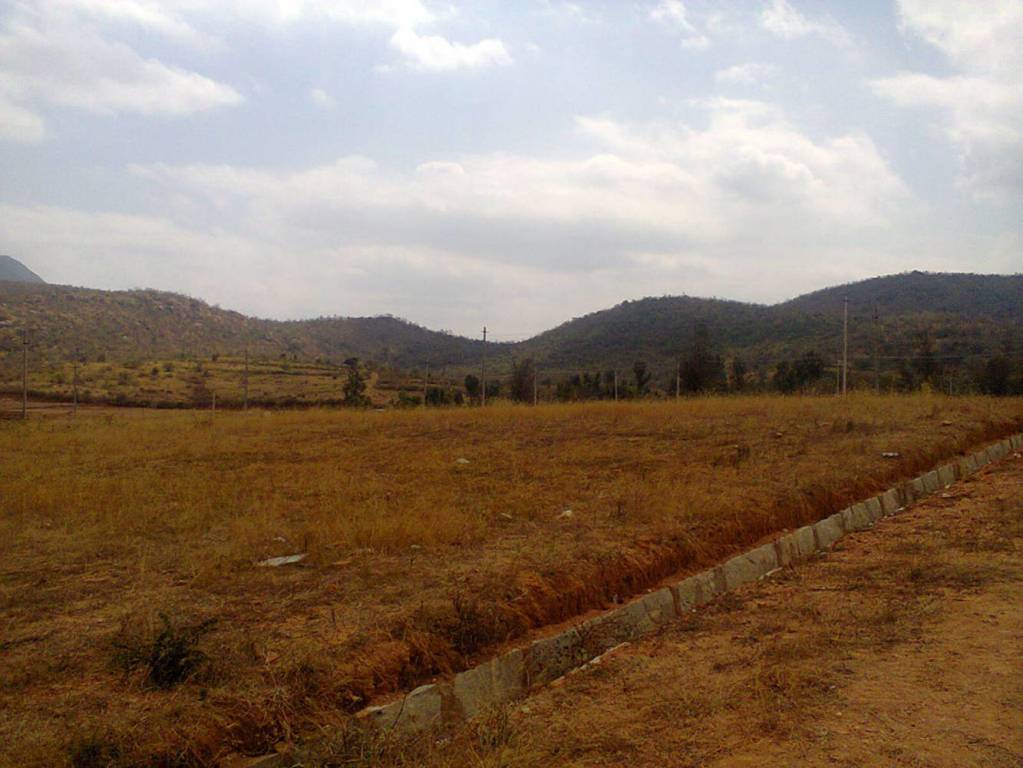 Images for Main Other of LG Tranquil Woods