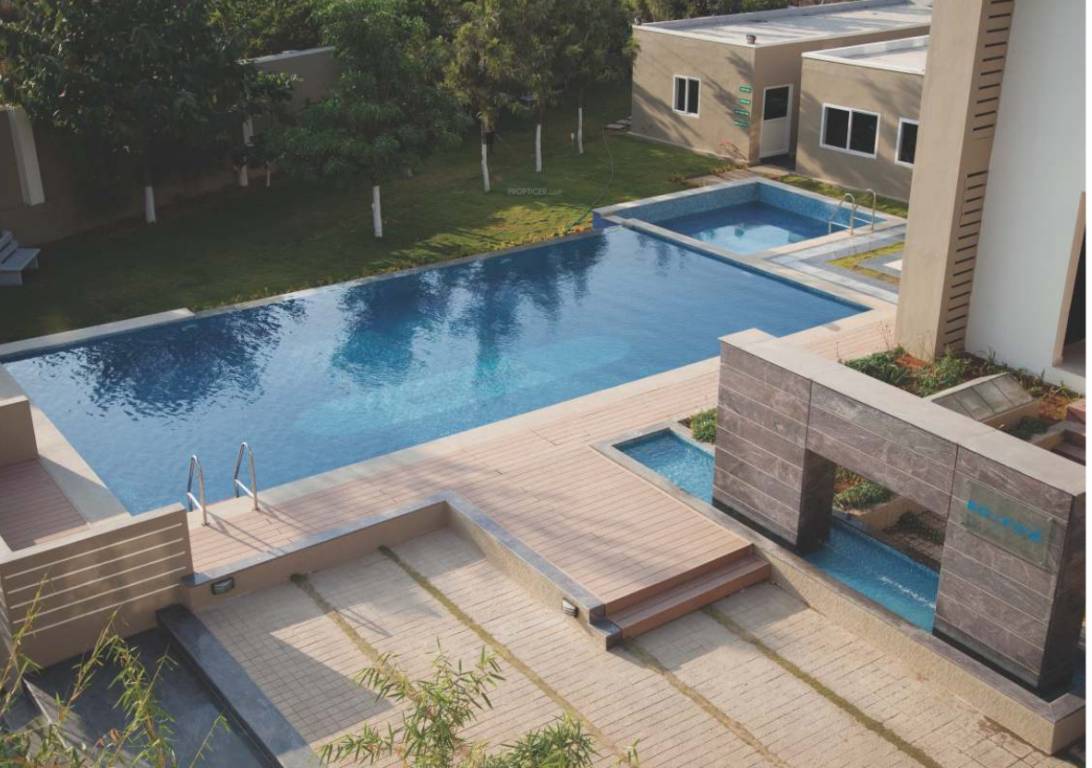  almond tree Swimming Pool