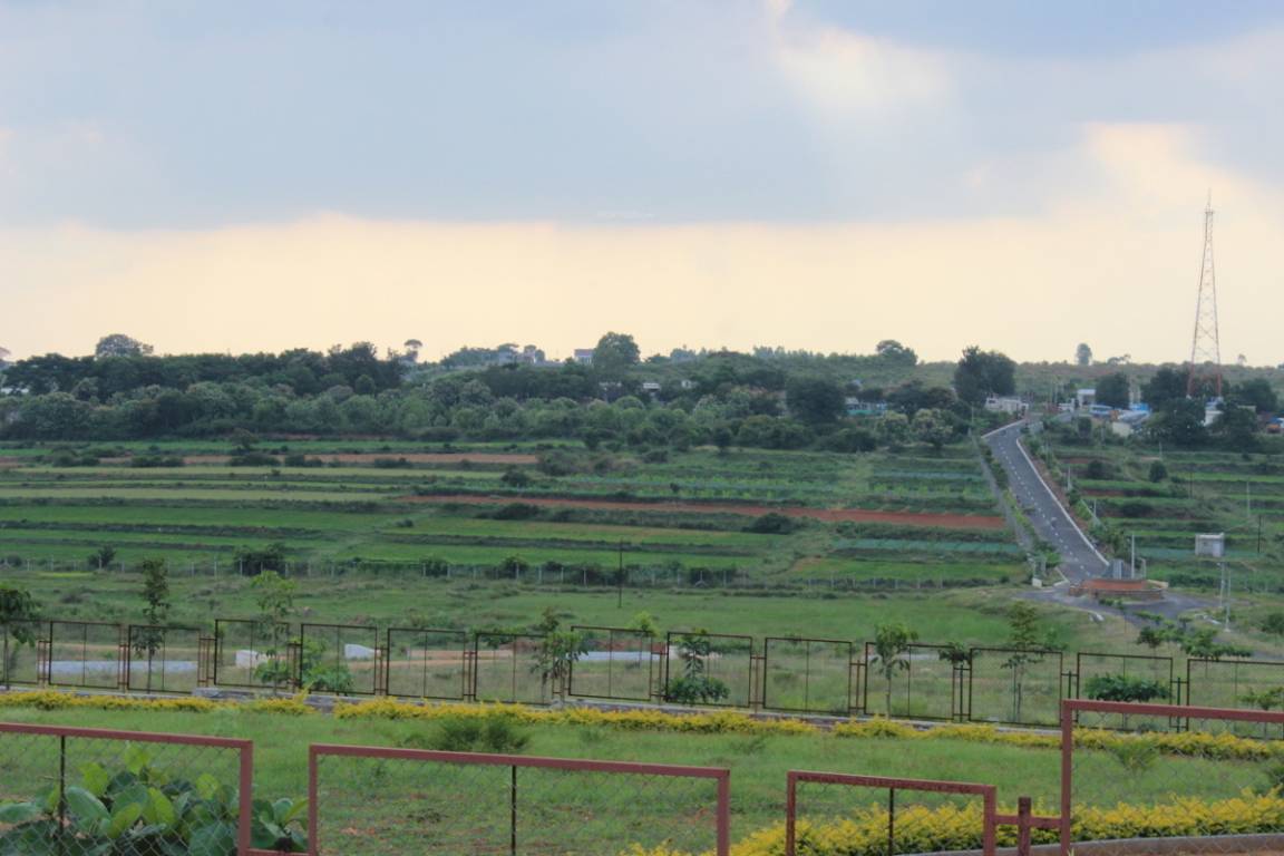 Images for Amenities of AVS Ozone Valley