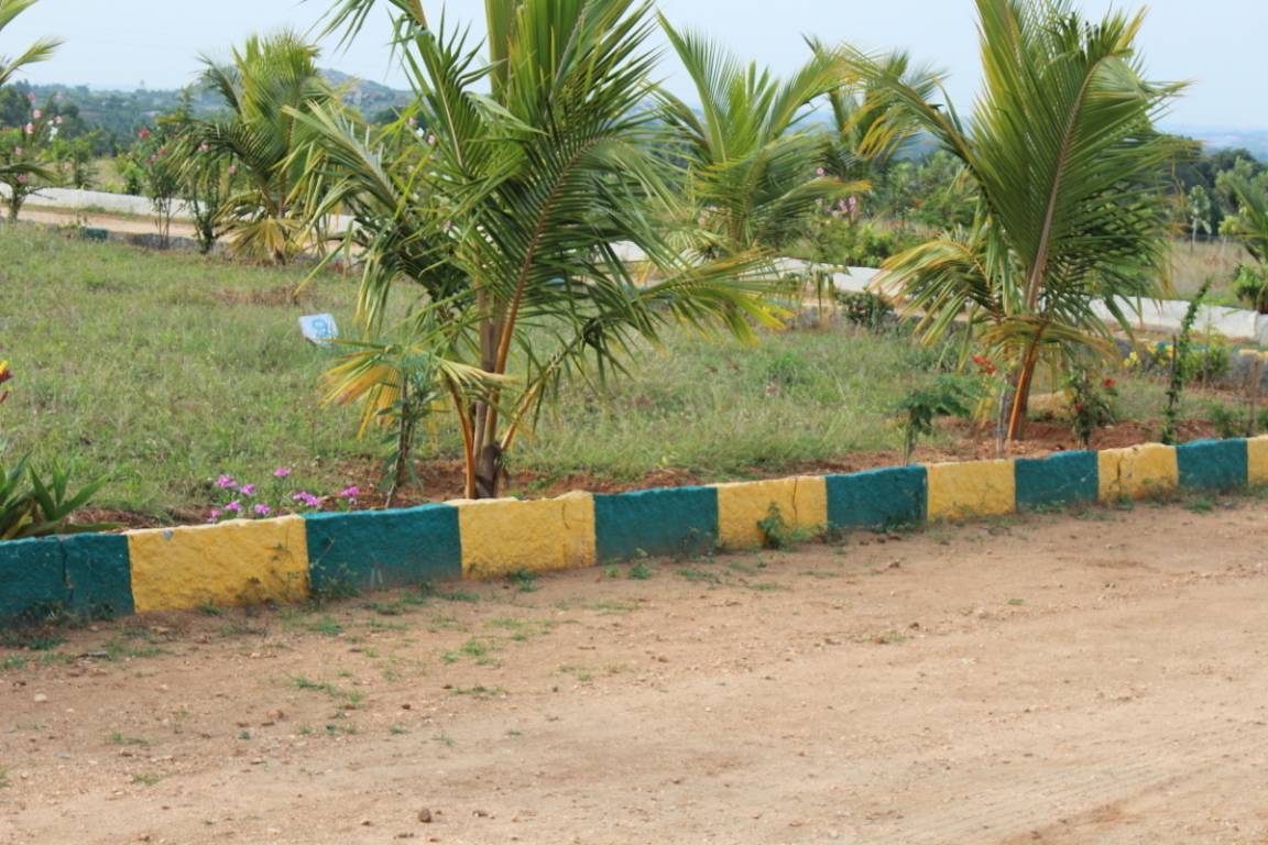 Images for Amenities of AVS Ozone Valley