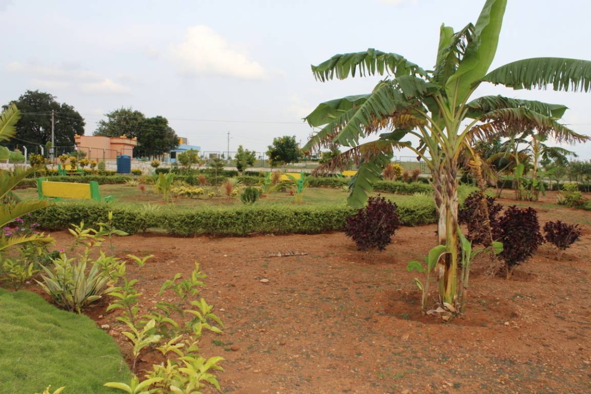 Images for Amenities of AVS Ozone Valley