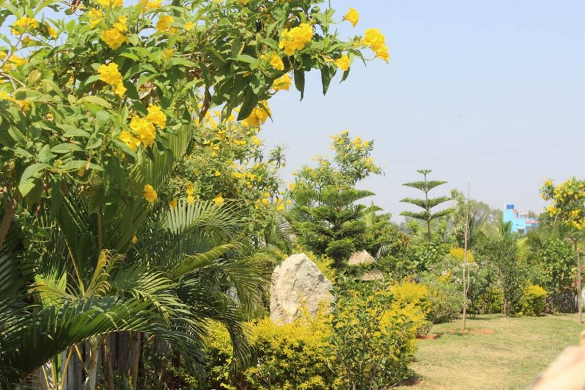 Images for Amenities of AVS Ozone Valley