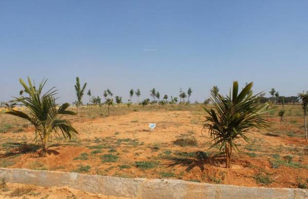 Images for Main Other of AVS Ozone Valley Images for Main Other of AVS Ozone Valley