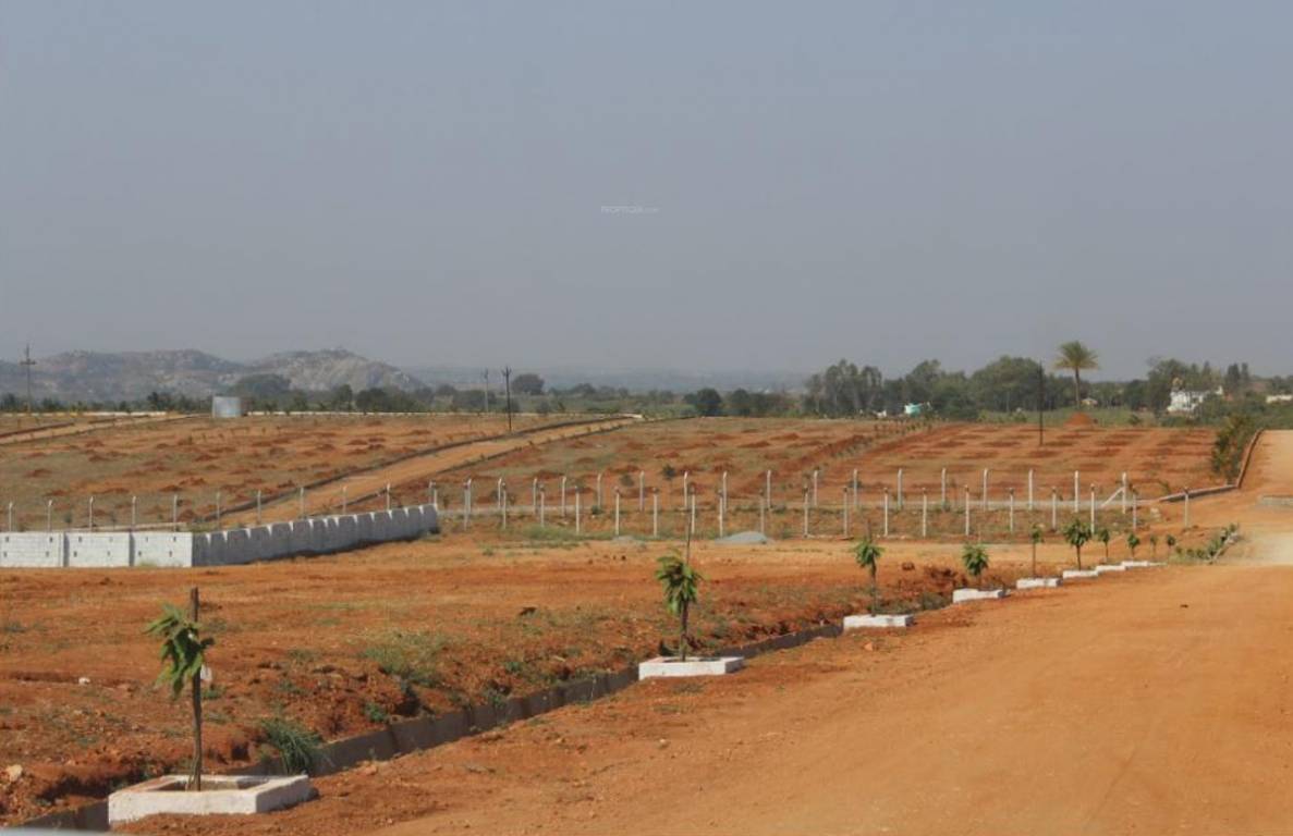 Images for Main Other of AVS Ozone Valley