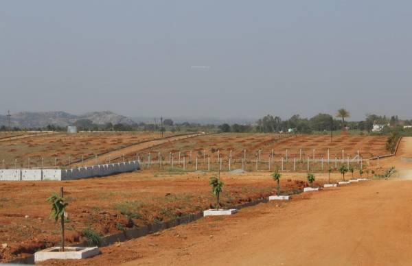 Images for Main Other of AVS Ozone Valley Images for Main Other of AVS Ozone Valley