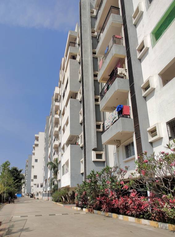 mahaveer willet Elevation