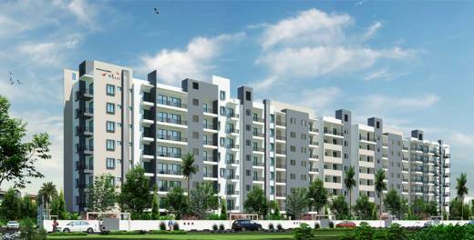 Images for Elevation of Mahaveer Willet