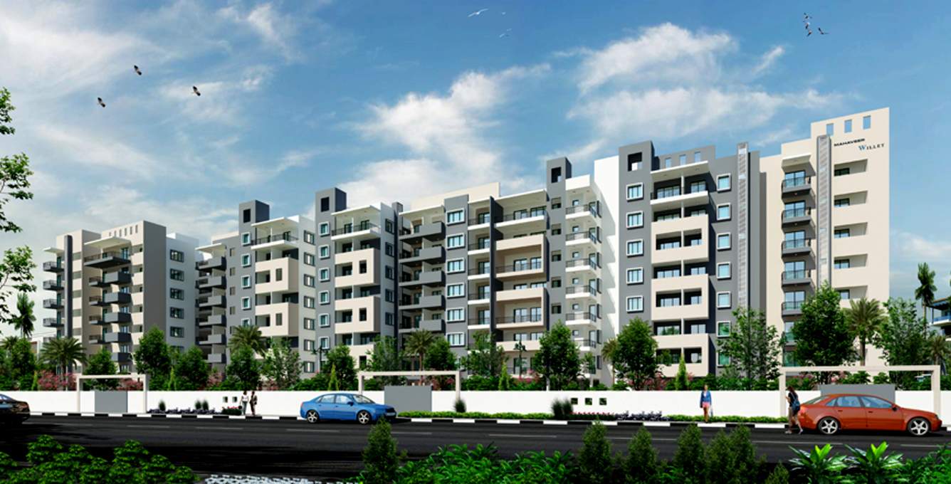 willet Images for Elevation of Mahaveer Willet