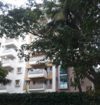Elevation  anugraha Elevation
