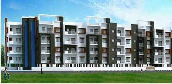  white-orchid Elevation