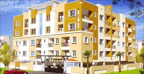 Images for Elevation of Jaya Hibiscus hibiscus Images for Elevation of Jaya Hibiscus