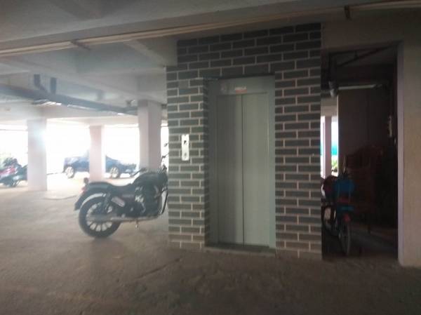 Lift Available hibiscus Lift Available