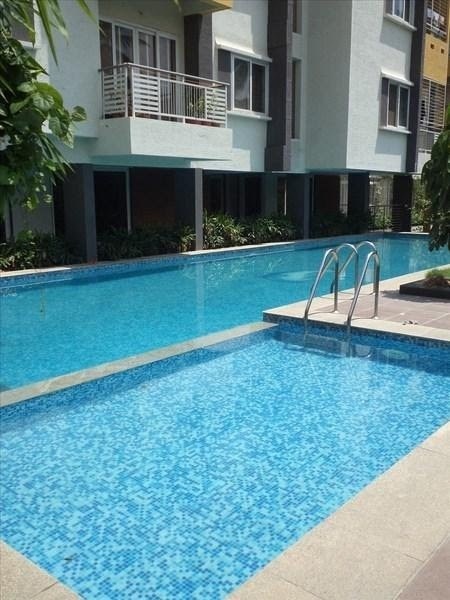  greenville Swimming Pool