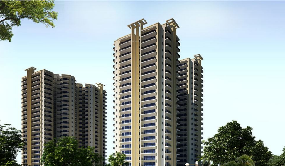  casa-woodstock Elevation