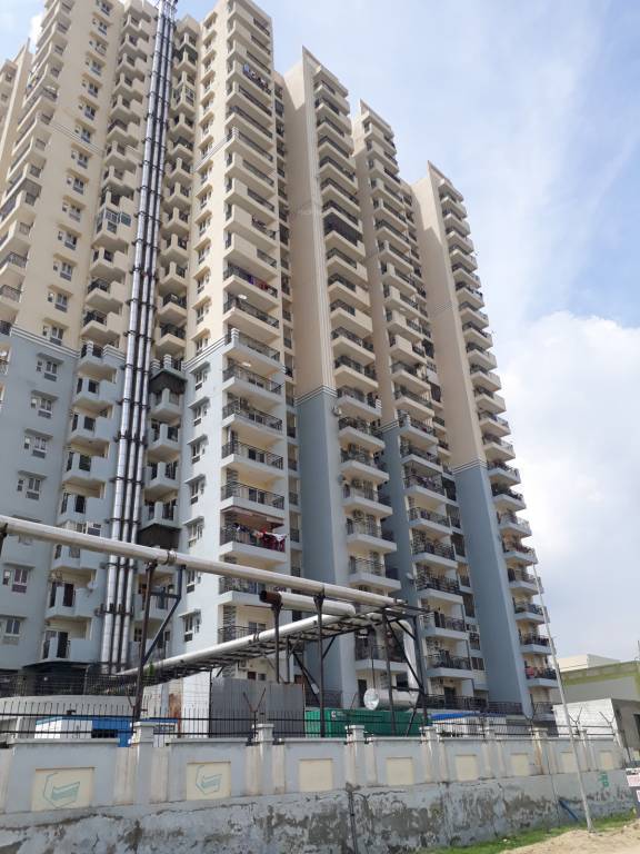  vega Images for Project