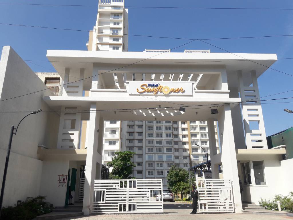 sunflower Images for Project