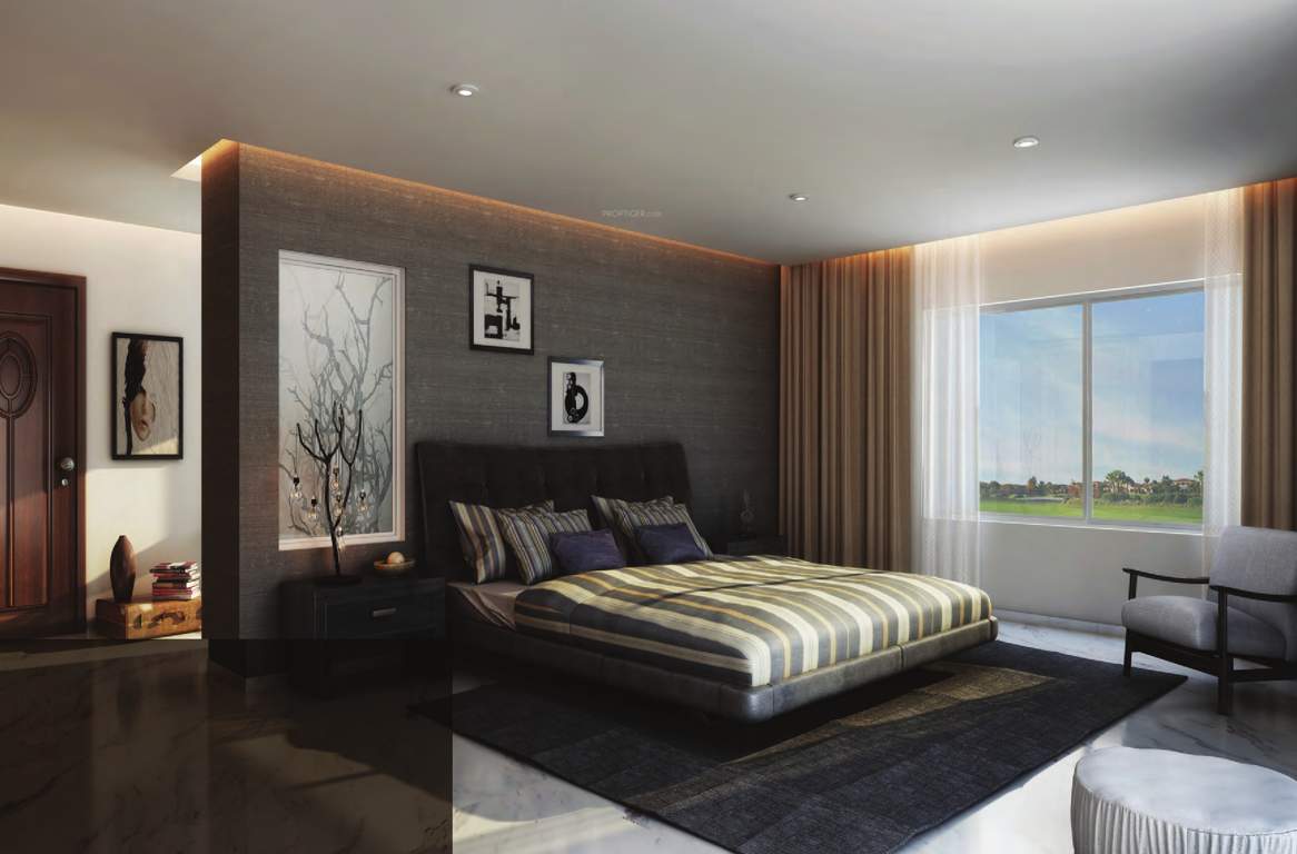 sunflower Images for Main Other of Purva Sunflower