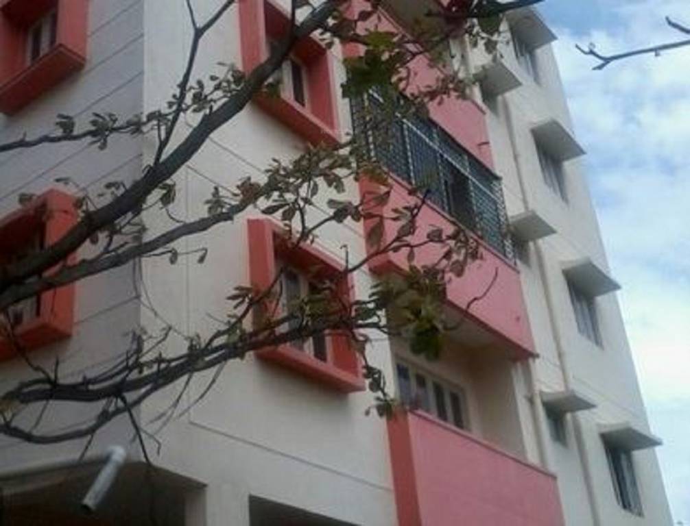  ashraya height Elevation