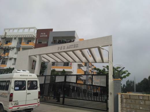 aster Elevation Elevation