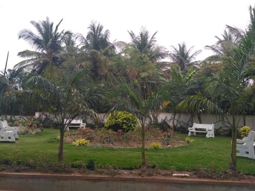  aster Landscape Garden and Tree Planting