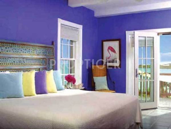 Images for Main Other of Sai Avighna