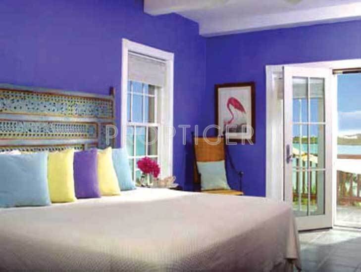 Images for Main Other of Sai Avighna