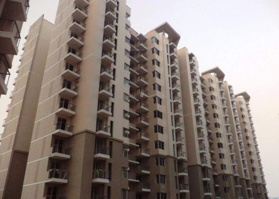  the heartsong Images for Elevation of Experion The Heartsong