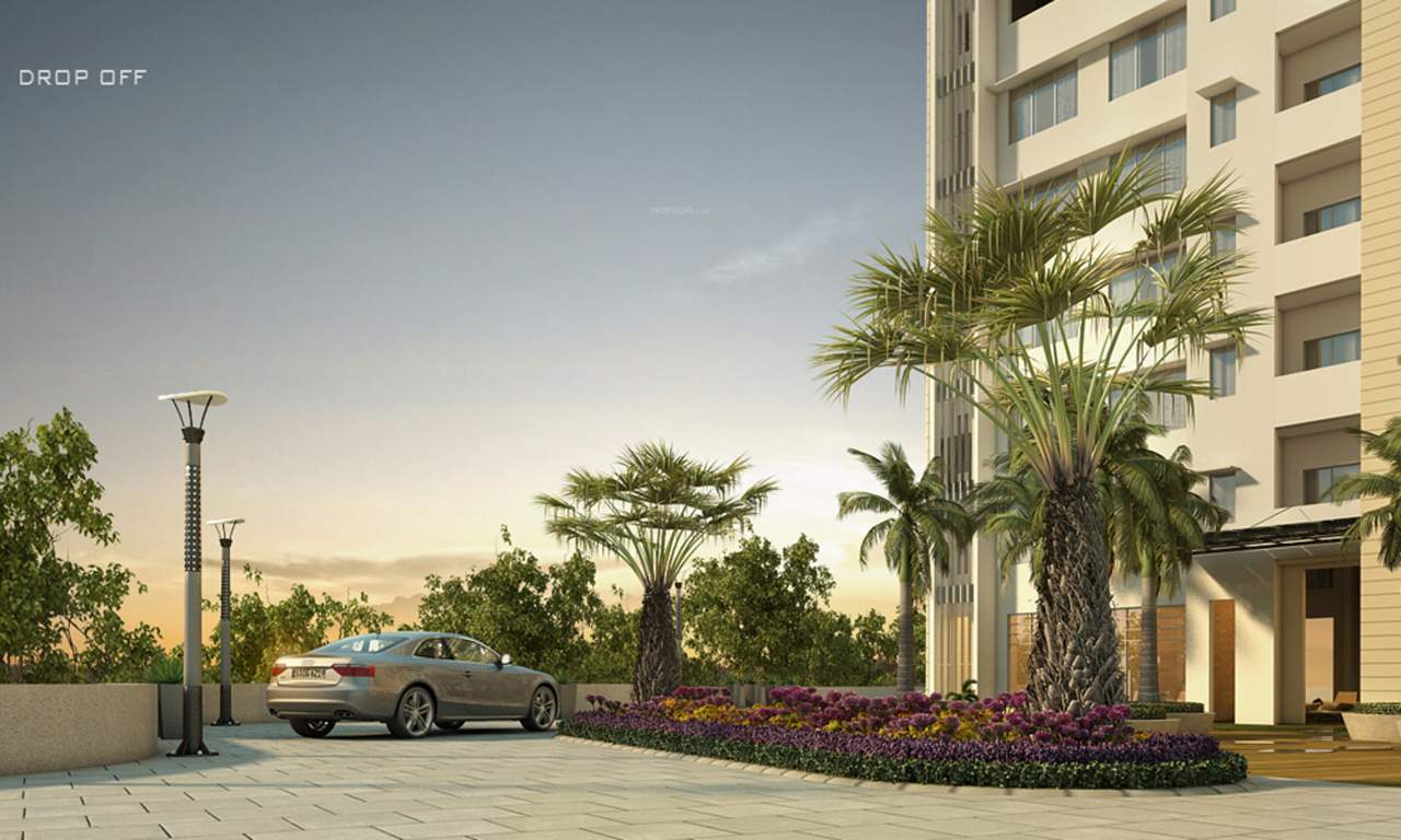 Images for Elevation of L And T Emerald Isle