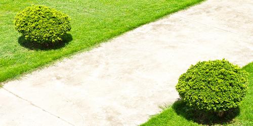 Images for Amenities of Rustomjee Elita elita Images for Amenities of Rustomjee Elita