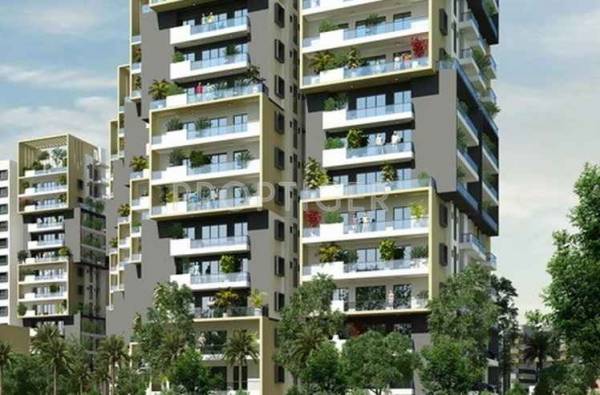 Images for Elevation of Fortuna Viva Images for Elevation of Fortuna Viva