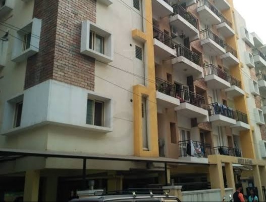  united daffodils Elevation