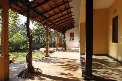 Images for Elevation of Good Malhar Mosaic Images for Elevation of Good Malhar Mosaic