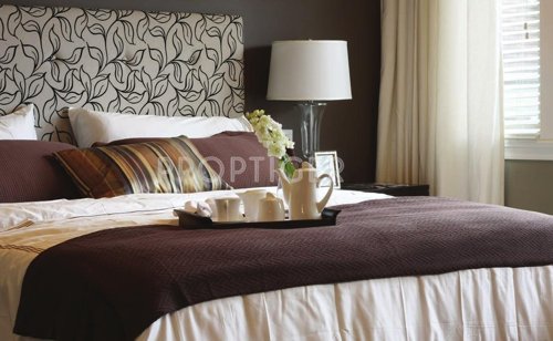 Images for Main Other of The Baya Park