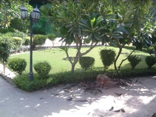 Landscape Garden and Tree Planting grand-kingston Landscape Garden and Tree Planting