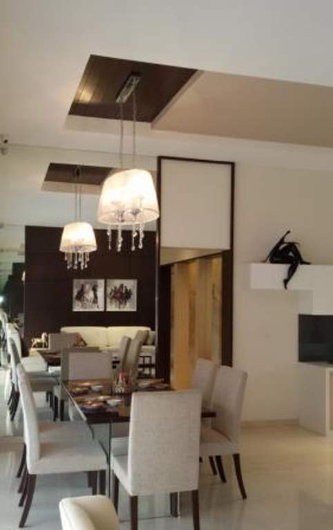  kingdom Images for Main Other of Shah Kingdom