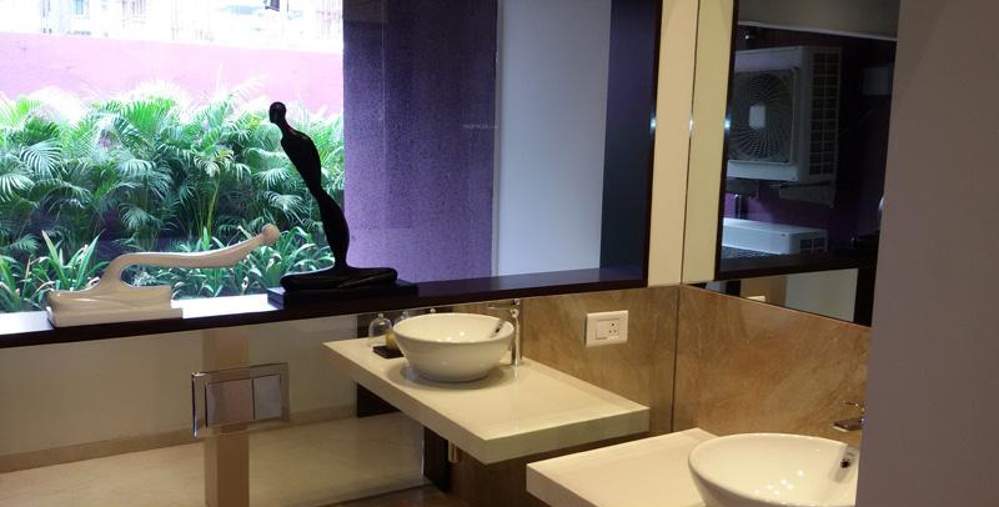  kingdom Images for Main Other of Shah Kingdom