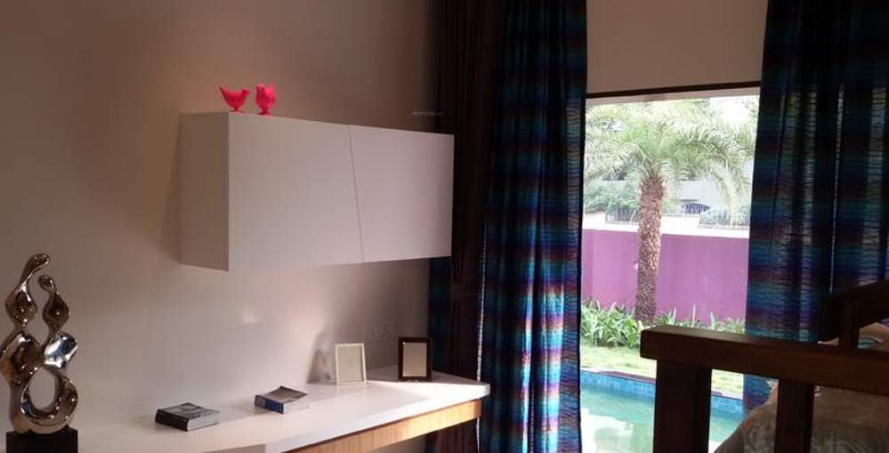  kingdom Images for Main Other of Shah Kingdom