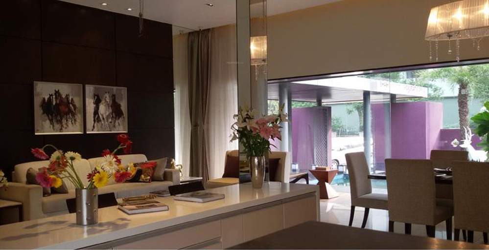  kingdom Images for Main Other of Shah Kingdom