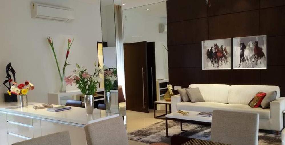  kingdom Images for Main Other of Shah Kingdom