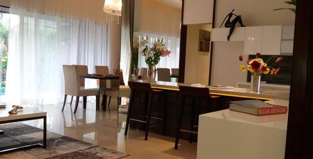  kingdom Images for Main Other of Shah Kingdom