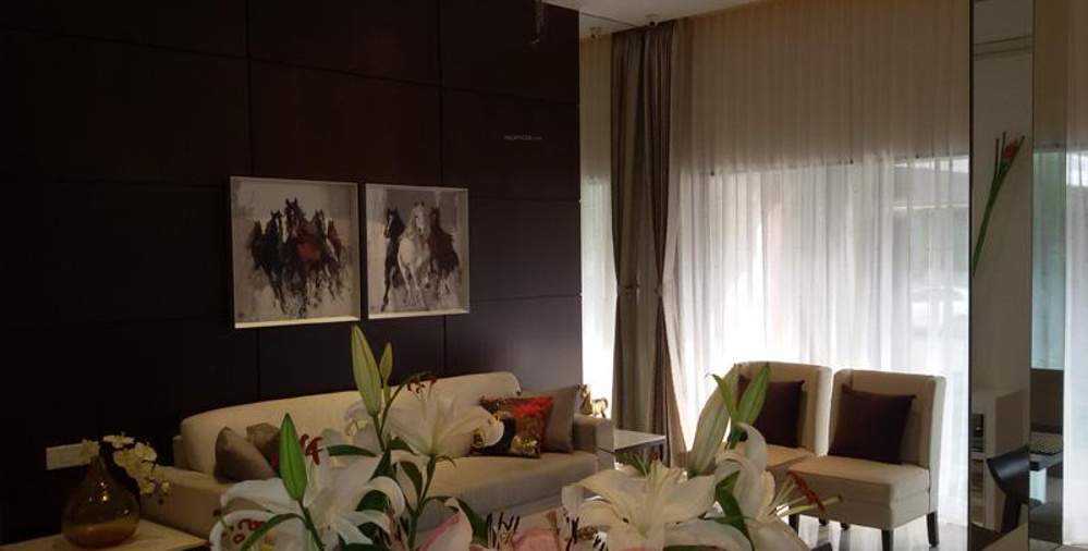  kingdom Images for Main Other of Shah Kingdom