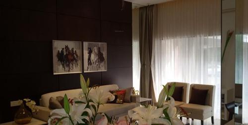 Images for Main Other of Shah Kingdom kingdom Images for Main Other of Shah Kingdom