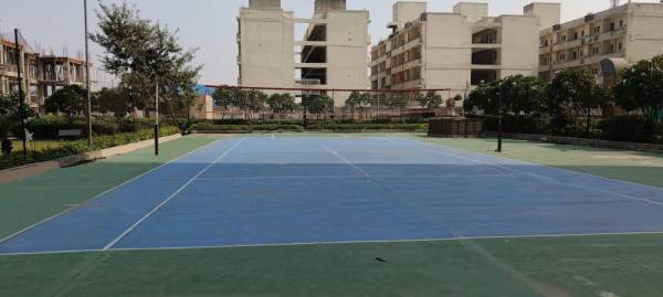  mulberry-county Others