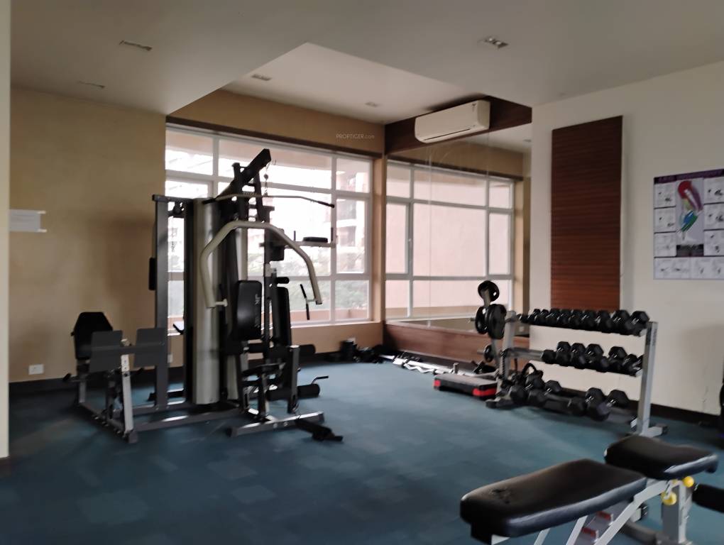  sai miracle Gymnasium