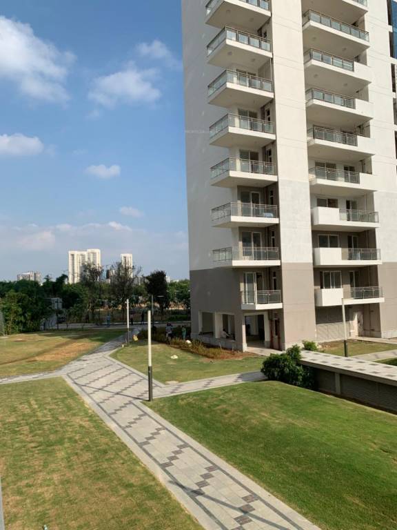  the ultima Images for Project