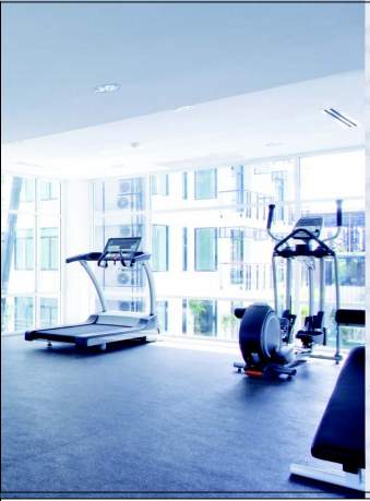  sai fortune Gymnasium