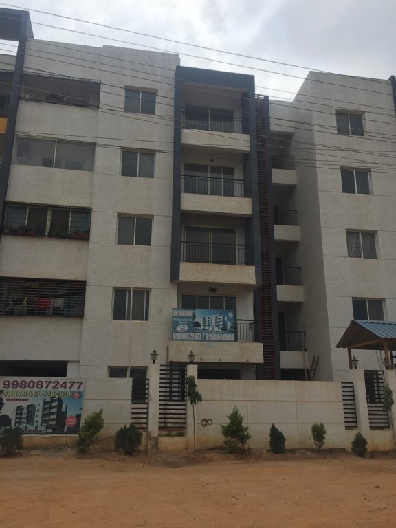  royal orchid Images for Project