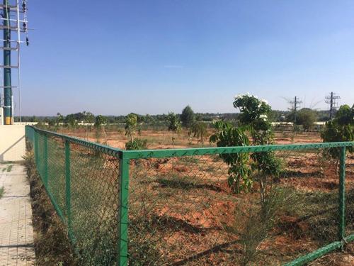 Images for Main Other of 42 Estates Adonis