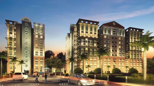  the-county Images for Elevation of Team The County